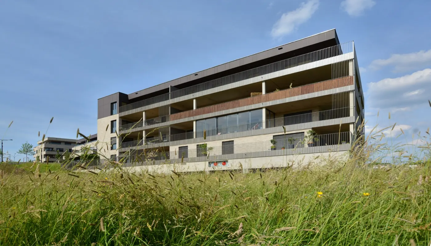 Wohngebäude in einem grünen Wohnviertel in Luxemburg